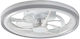 Rabalux 48cm Ceiling Fan with Light Fixture Silver