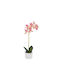 Pink Artificial Orchid H45x11x11cm White Pot