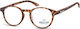 Montana Eyewear MR52E Damen Lesebrille +1.50 in Braun Farbe