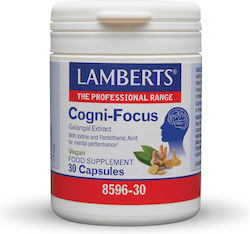 Lamberts Cogni-Focus Galangal 30 Capsules Ginger