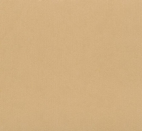 Tapete Vinyl L1005xB53cm