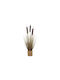 Künstliche Rohrkolbengraspflanze Beige Plastik Brauner Topf 69cm