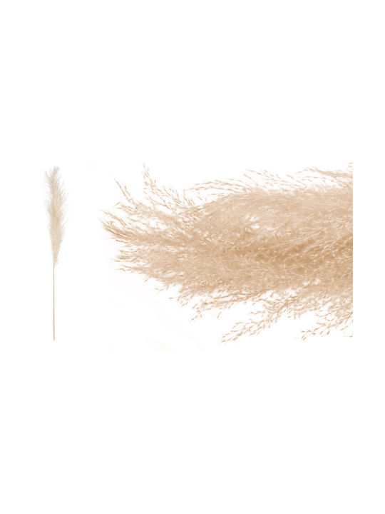 Pampas Φυσικο 140cm 0516196 Περιλαμβάνει 6 Τεμ Τεμαχια