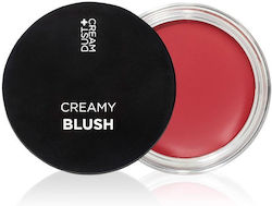 Dust+Cream Blush Ρουζ RASPBERRY TRUFLLE 6gr