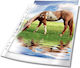 Durable Magazinordner Kunststoff