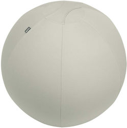 Leitz Μπάλα Pilates 75cm σε Γκρι Χρώμα