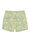 Men's Swimwear Shorts Green