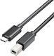 Unitek USB 2.0 Cable USB-C male - USB-B Black 1m (C14140ABK-1M)