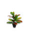 Plantă artificială Croton 45cm ghiveci din plastic