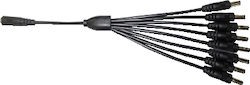 Gbc Power Splitter Cable 1in 8out