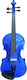 Vioară Stentor 4/4 Electric Blue 1401 cu Toc + Rășină + Arcus