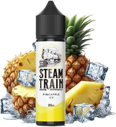Steam Train Disposable Edition Pineapple Ice 20/60ml