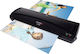Olympia Desktop Laminator for A3 125 Microns