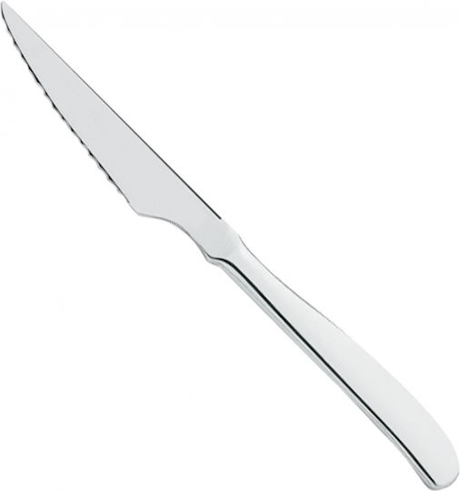 Dinox Delta Messer Für Fleisch Aus Rostfreiem Stahl 21.9cm 12 Stück