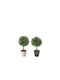Buxus Ball Pot 2 colors, 12x24cm