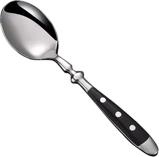 Dinox Spoon Set Dinner Stainless Black 19.6cm 12pcs