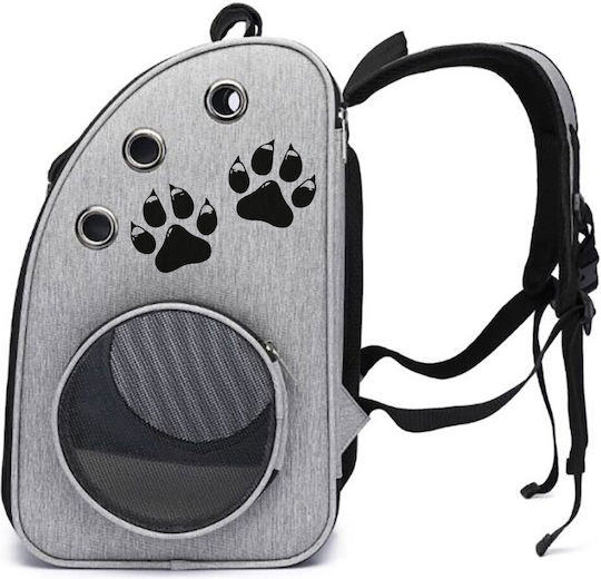 Backpack for Dog and Cat Transport