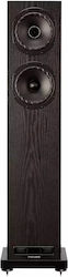 Fyne Audio F501E Boden Hi-Fi-Lautsprecher 150W Schwarzes Fyne Audio F501E Boden Hi-Fi-Lautsprecher 150W Schwarzes