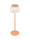 Globo Lighting Decorative Lamp Transparent