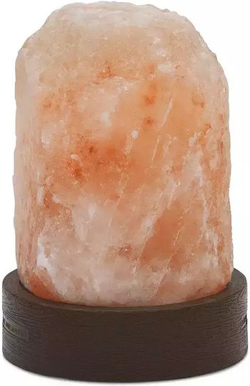 The Source Mini Decorative Lamp Himalayan Salt Pink