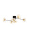 Globo Lighting Ceiling Mount Light Transparent