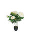 Peony Tree Cream 60cm 1/6pcs