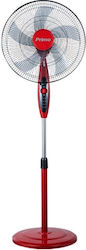 Primo Prsf-80643 Sockel 45cm Rote