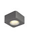 Globo Lighting Единично LED Топло бяло Спот в Сив Цвят