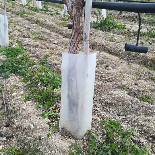 01-163001 Αντιπαγετική Κουκούλα 0.3x0.16m Διάφανο