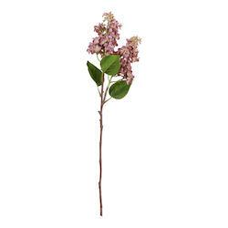 Arpimex Srl Weihnachtskranz Blume