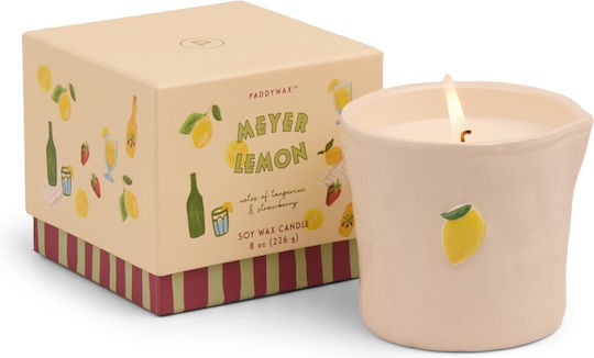 Lumânare din ceară vegetală cu lămâie Meyer 226g Borcan ceramic Bistro Lemon Paddywax Lumânare din ceară vegetală cu lămâie Meyer 226g Borcan ceramic Bistro Lemon Paddywax