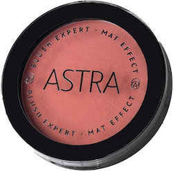 Astra Make Up Експерт Руж 06