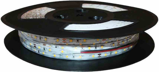 Eko Light Ταινία LED 100m Τύπου SMD2835