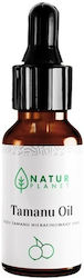 Natur Planet Tamanu Oil 30ml
