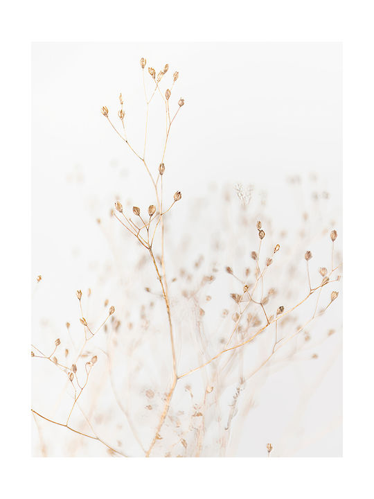 Poster Dry Flower Pst2588 21cm X 30cm