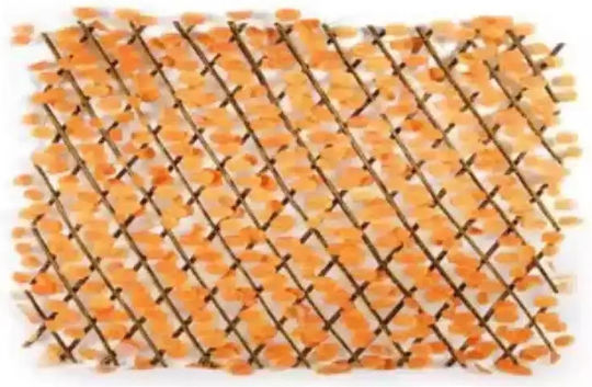 Garden Trellis in Orange Colour 22x240cm