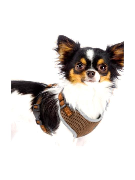 Reflective Small Dog Ham Comfortable Size Xxs Brown Anione Germany