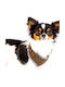 Reflective Small Dog Ham Comfortable Size Xxs Brown Anione Germany