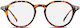 Langevin Optic Tortoise