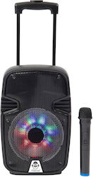iDance Ηχείο Karaoke με Ασύρματο Μικρόφωνο Groove 214