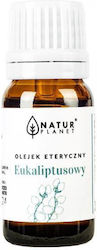 Natur Planet Βιολογικό Αιθέριο Έλαιο Ευκάλυπτος 10ml