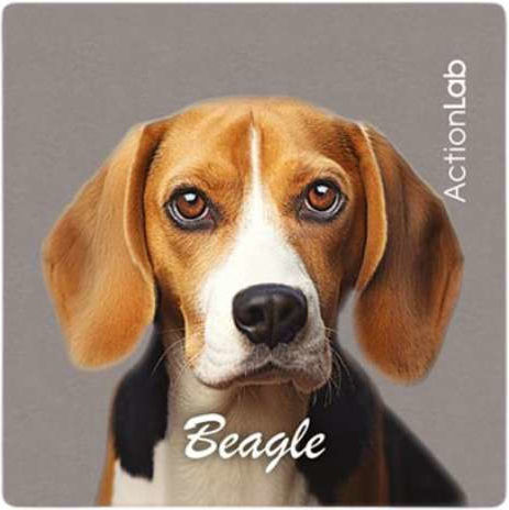 Action Lab Magnet Beagle