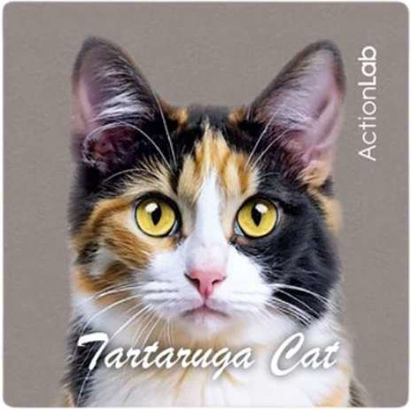 Action Lab Magnet Turtle Cat