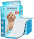 Clean Pets Pampers pentru câini 60x60cm 30buc