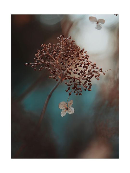 Poster Wild Flower Pst25147 60cm X 90cm