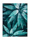 Poster Agave Plant Pst25158 21cm X 30cm