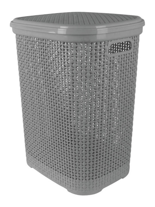 TnS Rattan 55898 Καλάθι Απλύτων Πλαστικό με Καπάκι 45x35x55cm Γκρι