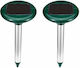 Set of 2 Solar Lights