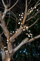 Lightex Hanging Solar Light Garland Lightex Hanging Solar Light Garland