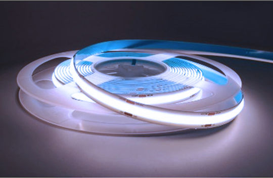 Universe LED Strip 24V 5m Type COB